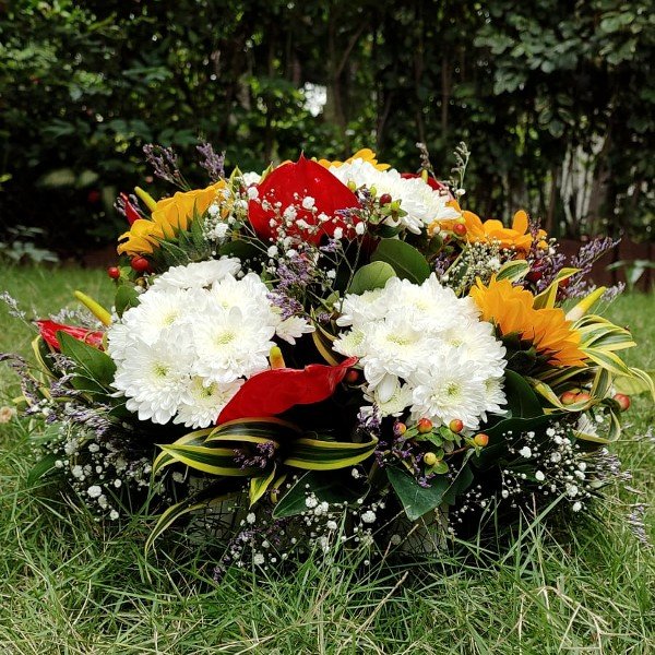 Main Product Image